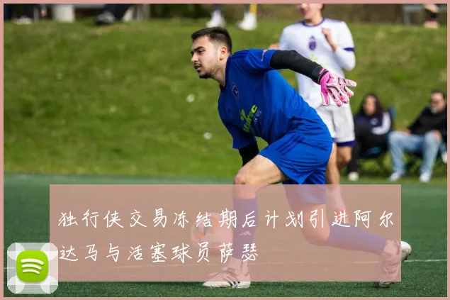 独行侠交易冻结期后计划引进阿尔达马与活塞球员萨瑟